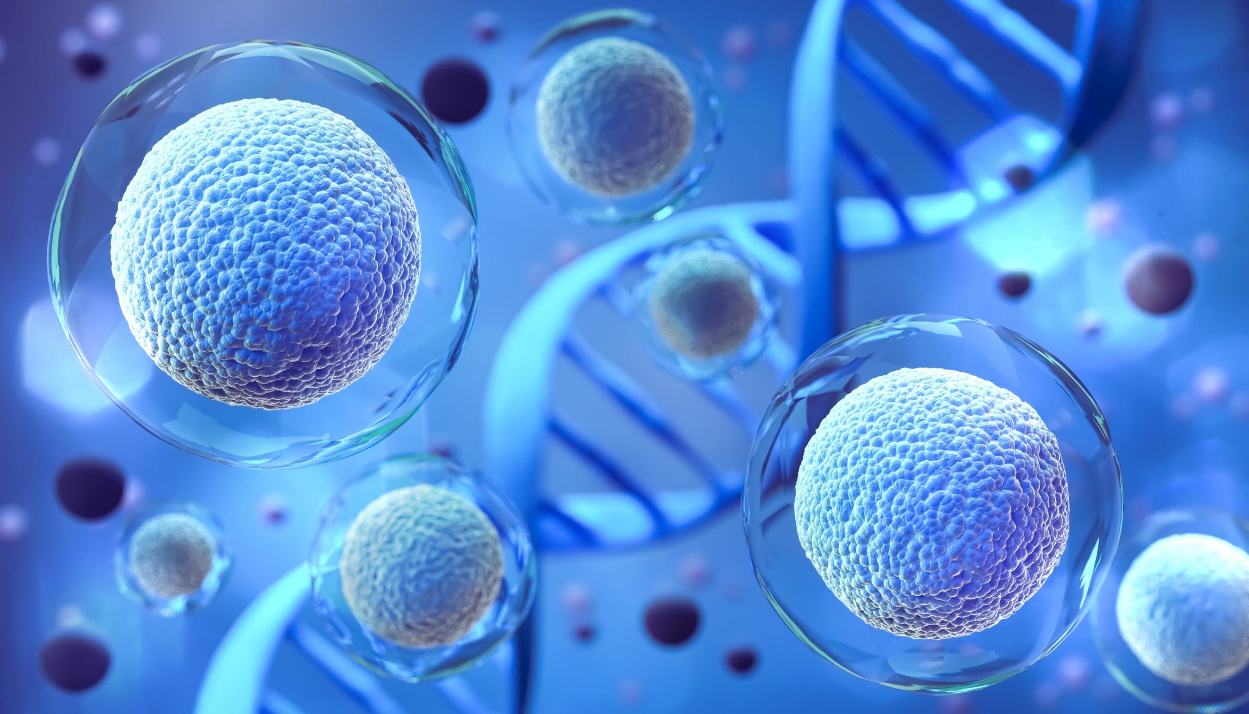 Stem Cell Therapy Top Banner
