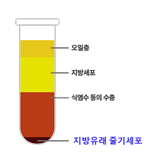 Adipose Derived Stem Cell Procedure 4