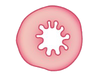20-30 vaginal fillers