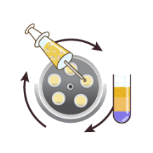 Anti-Aging Stem Cell Therapy Phase 2