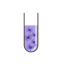 3 Steps to Anti-Aging Stem Cell Therapy