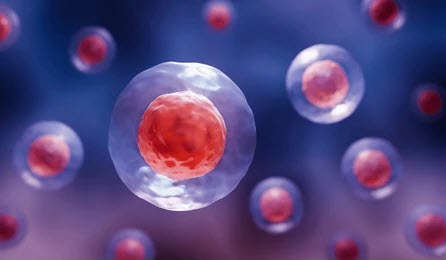 Prolotherapy + Stem Cell Injection